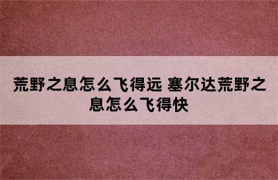 荒野之息怎么飞得远 塞尔达荒野之息怎么飞得快